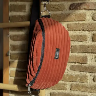 IMG_5657 Teracotta Velvet Belt Bag